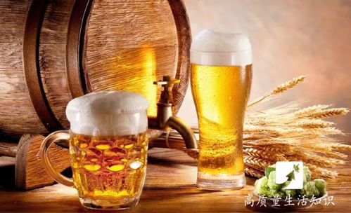 盤錦酒桌規矩解密 1杯白酒到底等于多少瓶啤酒？